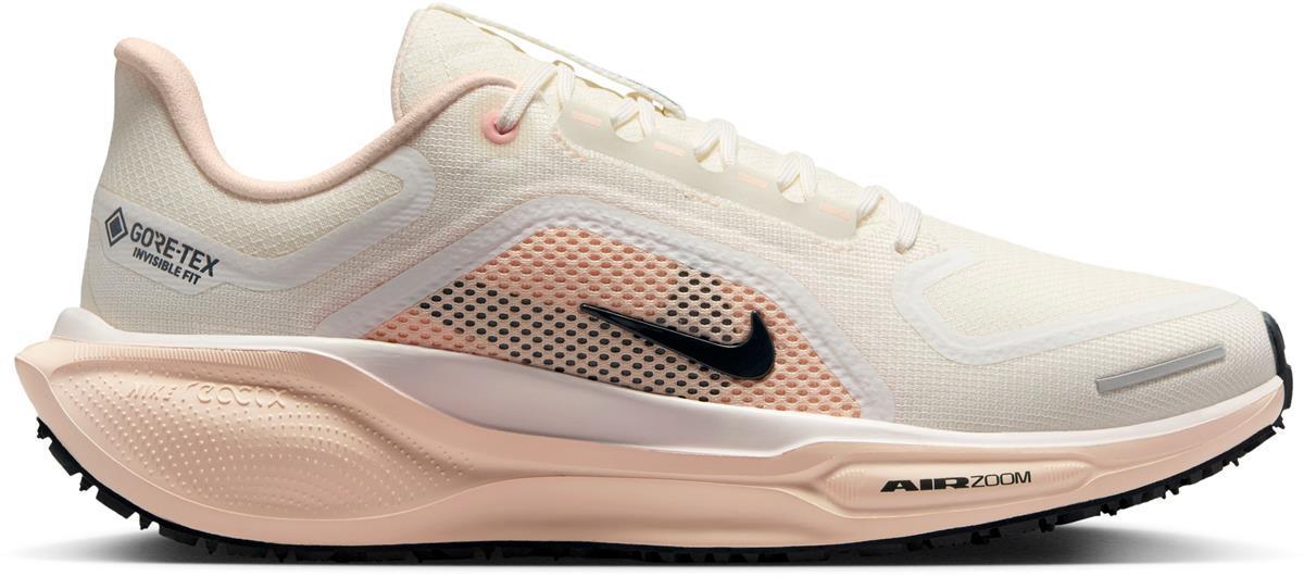 Pegasus 41 Gore-tex hardloopschoenen – INTERSPORT - Main Image