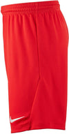 NIKE DRI-FIT PARK III BIG KIDS