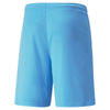 TeamLIGA Shorts Short