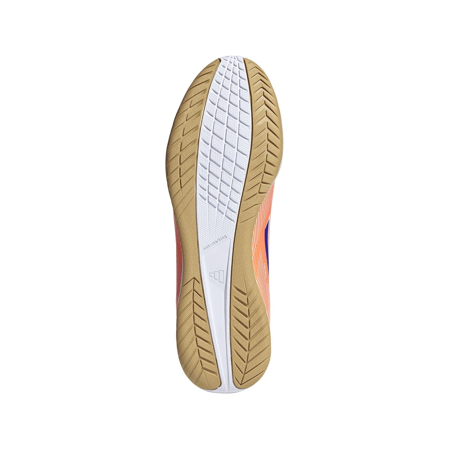 F50 Club Indoor schoenen
