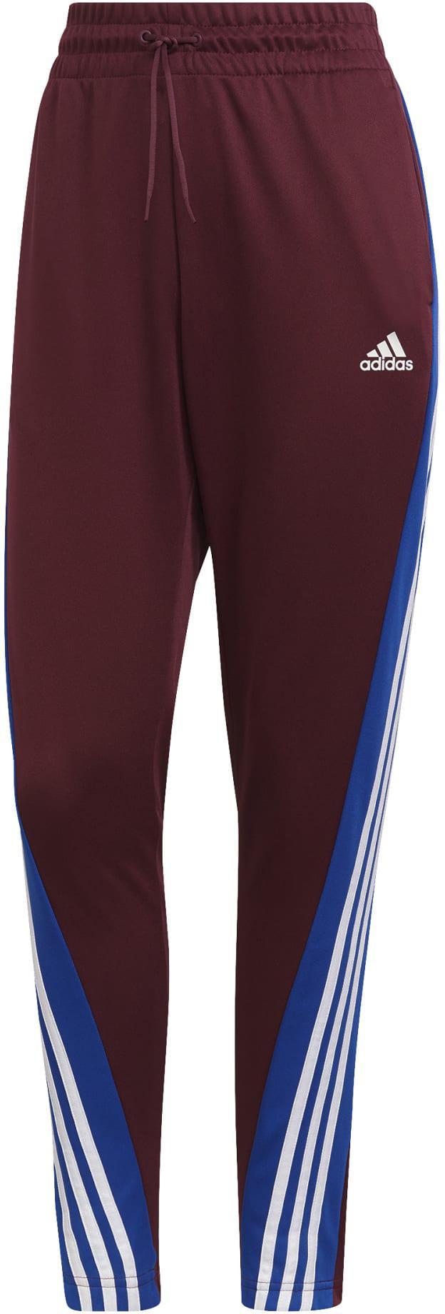 TEAMSPORT TS