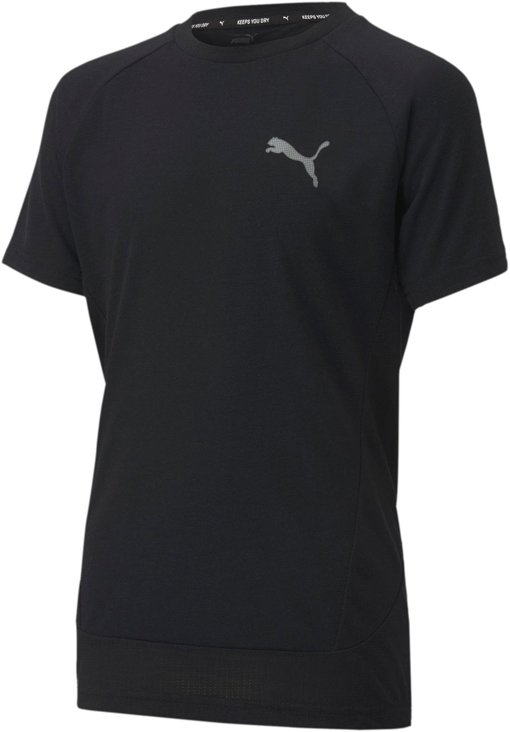 Evostripe Tee