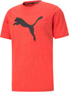 Train Fav Heather Cat Ss Tee