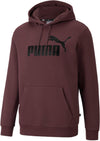 Ess Big Logo Hoodie