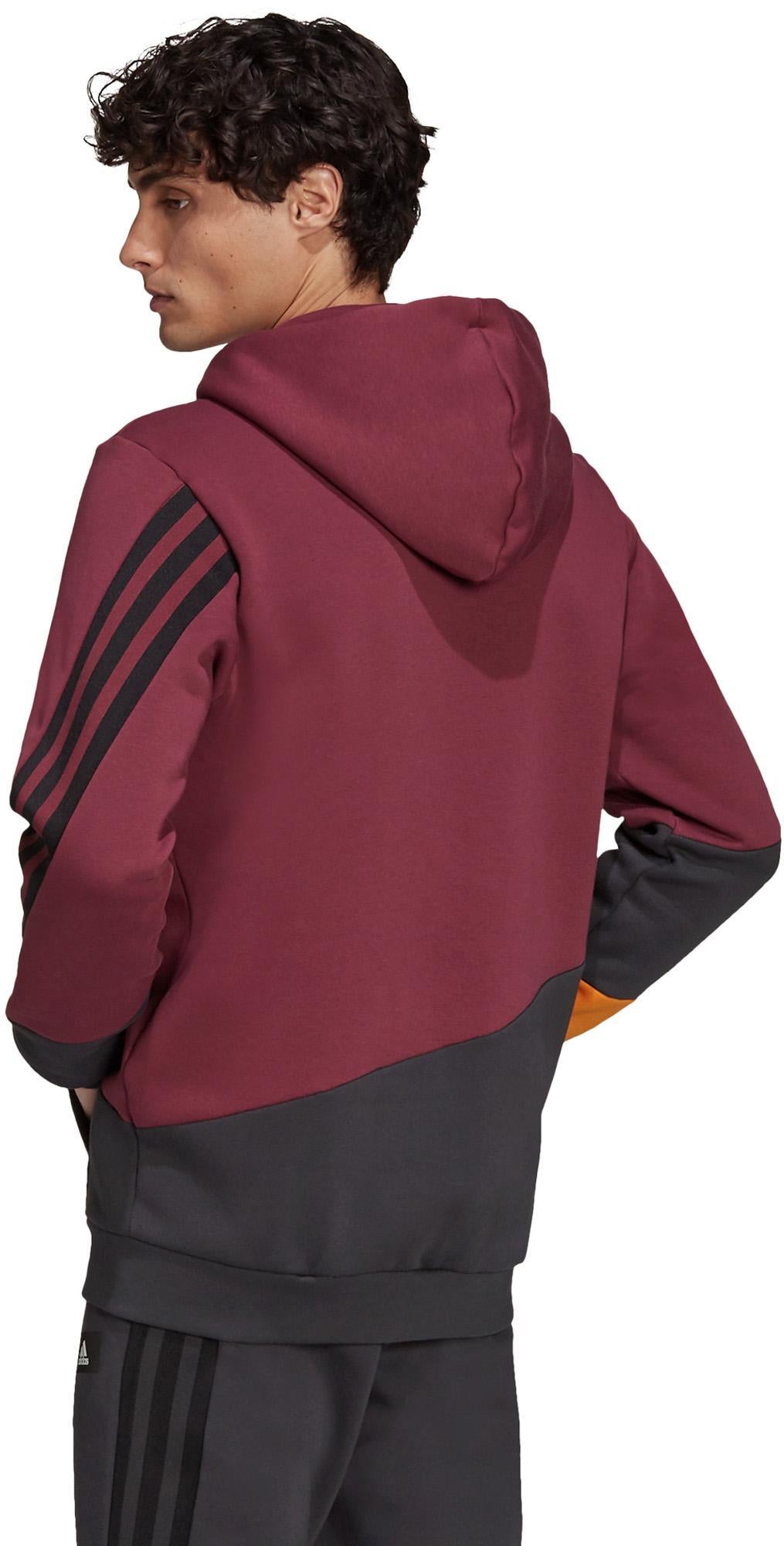 Sportswear Colorblock Hoodie