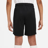 Dri-FIT Park Knit kids short