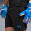 individualcup training shorts