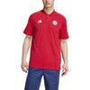 FC Bayern München DNA Poloshirt
