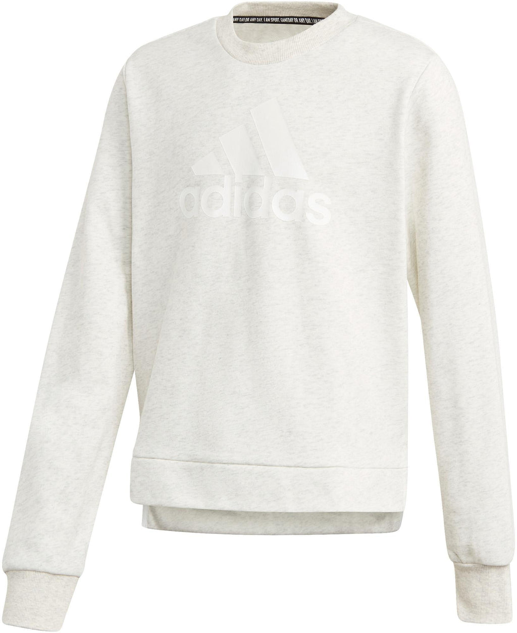 Future Icons Logo Sweatshirt