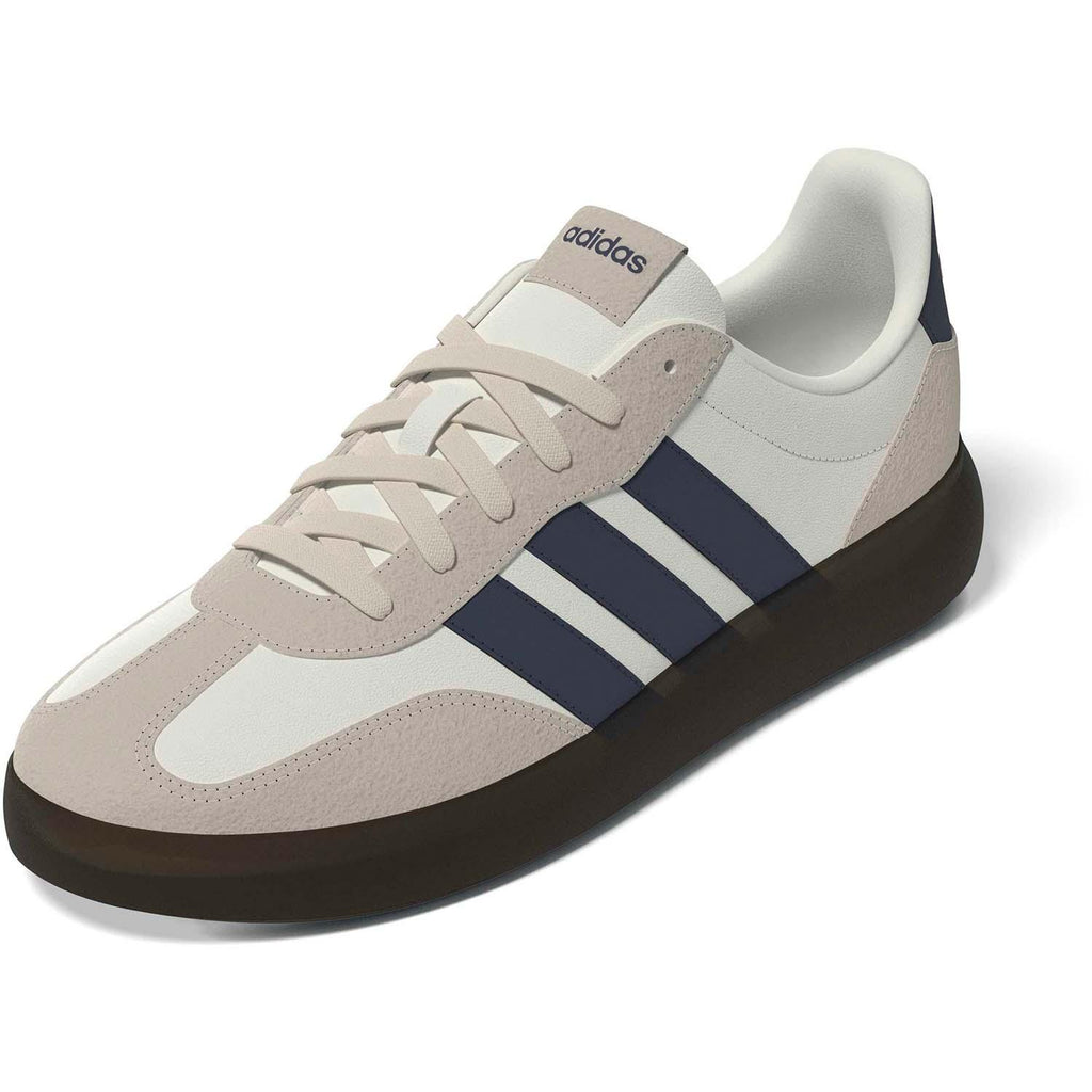 BARREDA DECODE SCHOENEN
