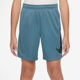Trophy23 Dri-FIT short