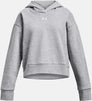 Rival Fleece Crop hoodie