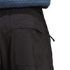 Terrex LiteFlex broek