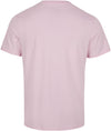 Arrowhead shirt