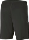 teamLIGA Training Shorts