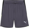 IndividualLIGA Train Short