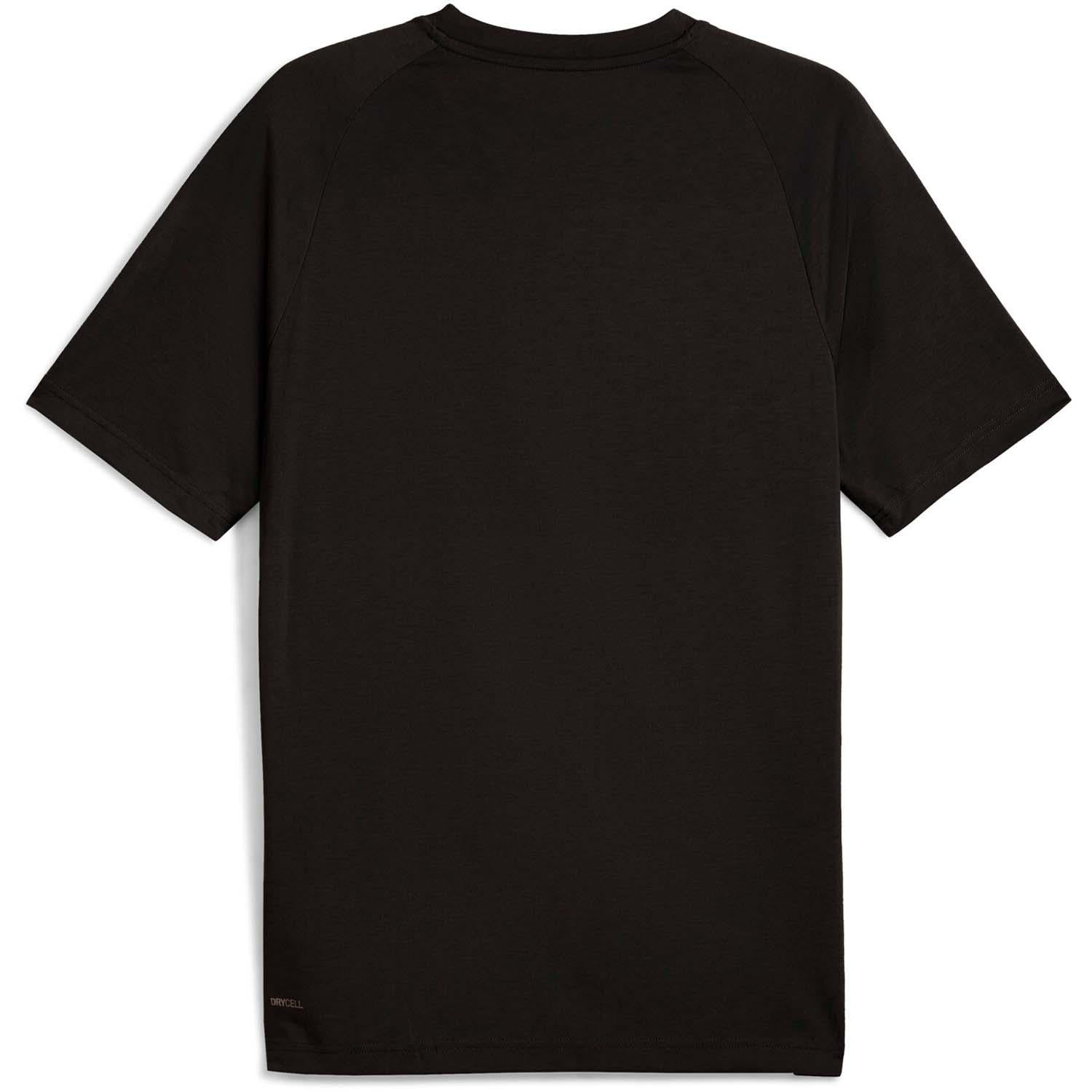 evostripe tee