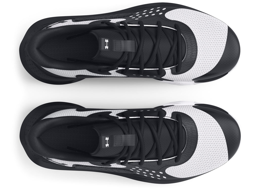 Basketballshoes