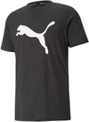 Train Fav Heather Cat Ss Tee