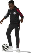 Ajax Amsterdam Tiro 24 Training Hoodie Kids