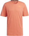 City Elevated T
