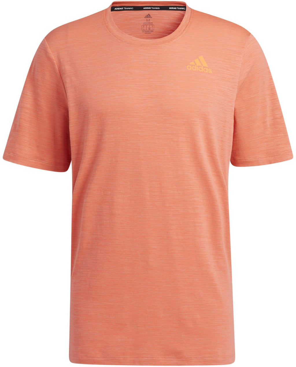 City Elevated T