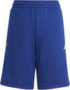 Messi kids short