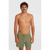 Originals Stripe 15 Zwemshort