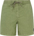 Prtraptor Beachshort