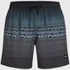 Logo Stripe 16 Zwemshort