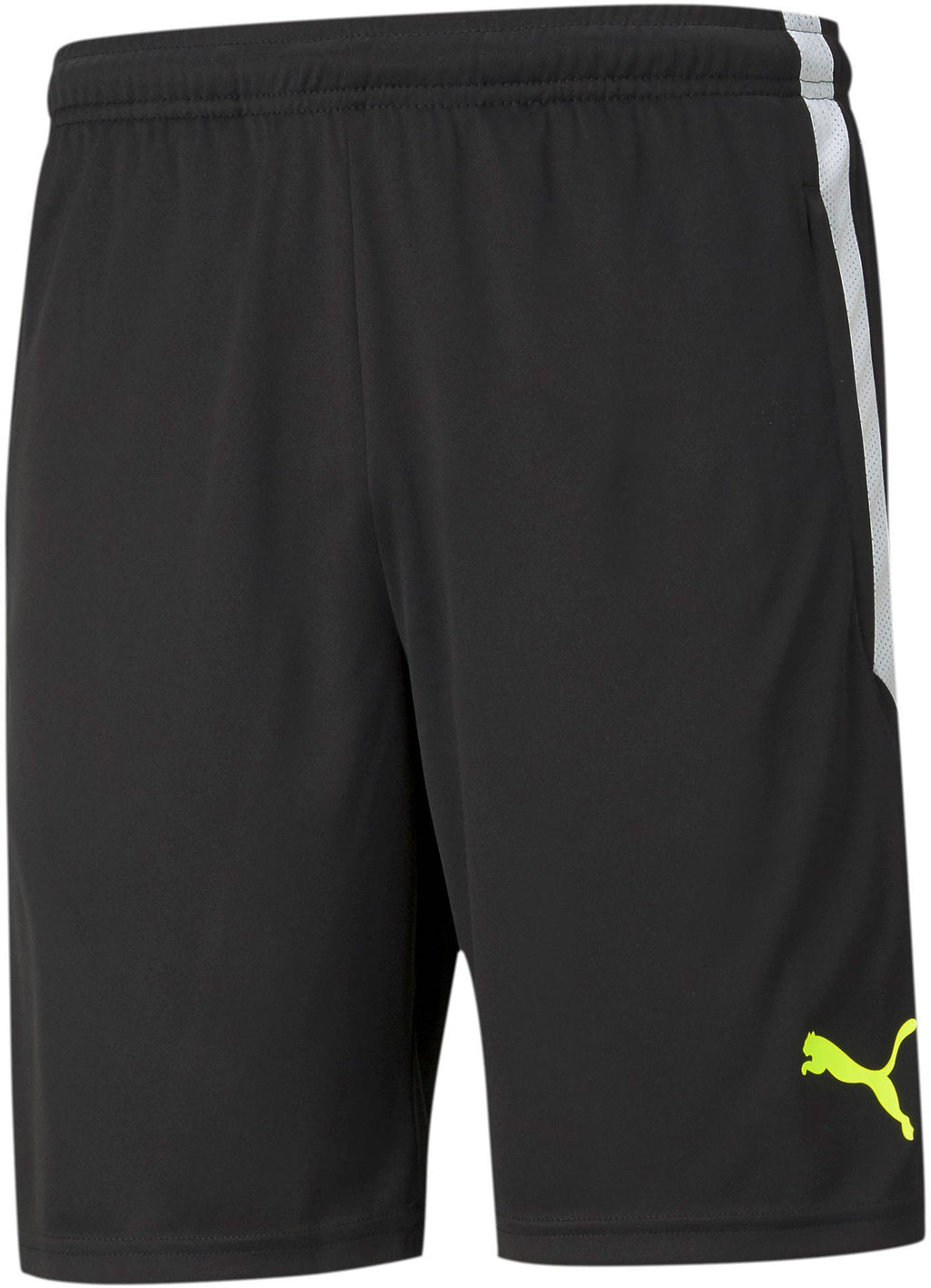 teamLIGA Training Shorts