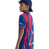 Big Kids' Nike Dri-FIT Voetbal Replica Jersey
