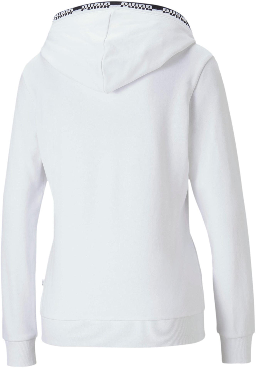 Amplified Hoodie
