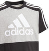Essentials Colorblock T-shirt