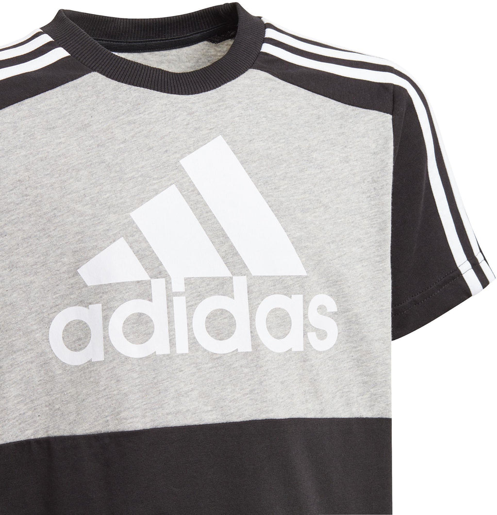 Essentials Colorblock T-shirt