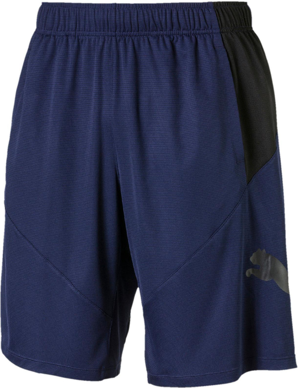 puma cat short