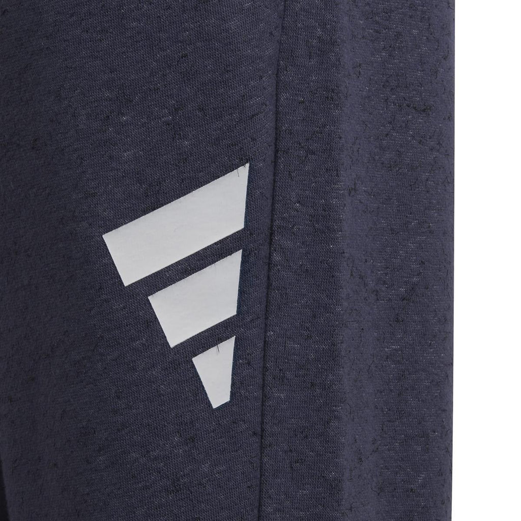 Future Icons 3-Stripes broek