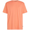 Small Logo T-shirt strand