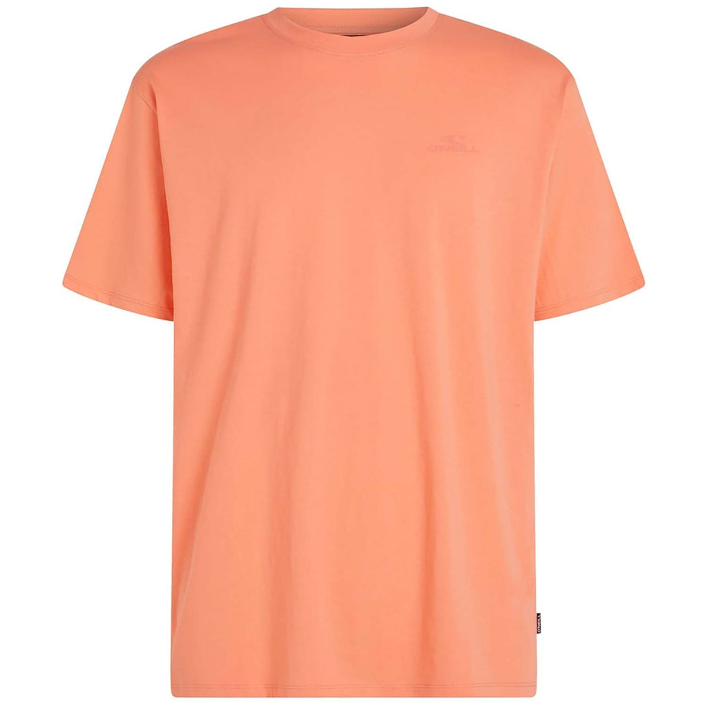 Small Logo T-shirt strand