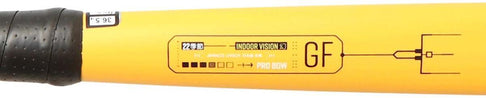 Indoor Vision Gf
