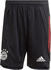 FC Bayern München Trainingsshort