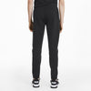 evostripe pants