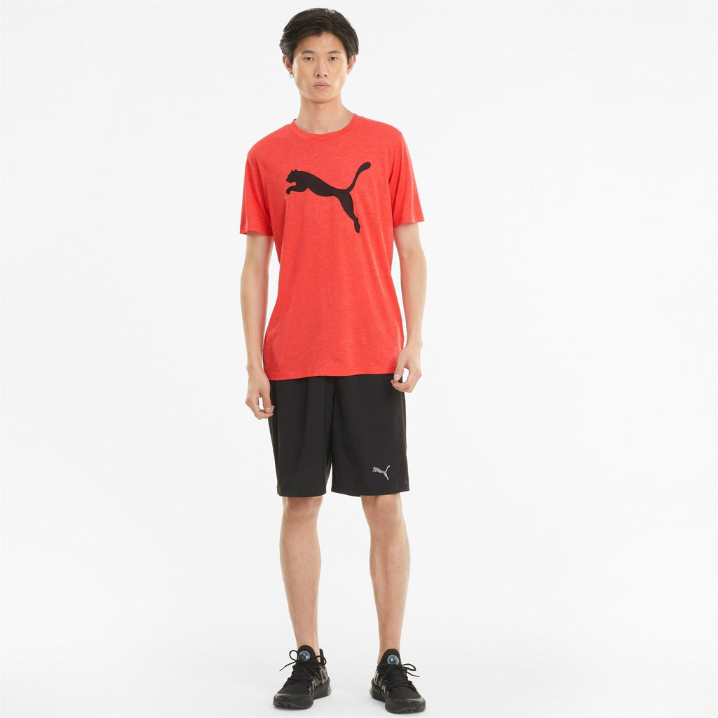 Train Fav Heather Cat Ss Tee