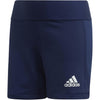 Tf Vb Shorts Y