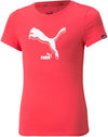 Puma Power Logo Tee