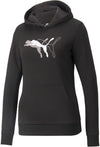 Puma Power Graphic Hoodie