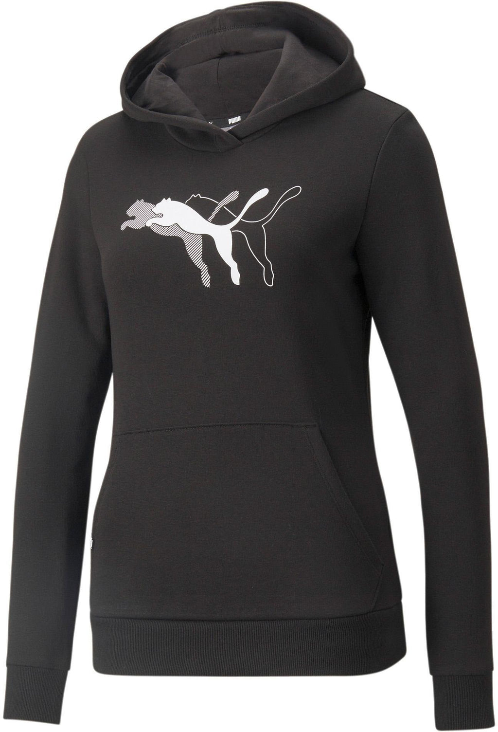 Puma Power Graphic Hoodie