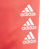JG A Bold Pant