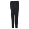 Teamliga Training Pants Jr