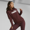 Ess Logo Hoodie Fl